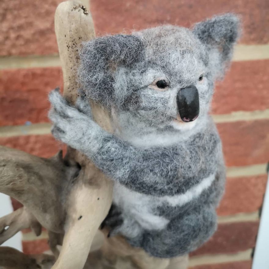 My Detailed Koala..