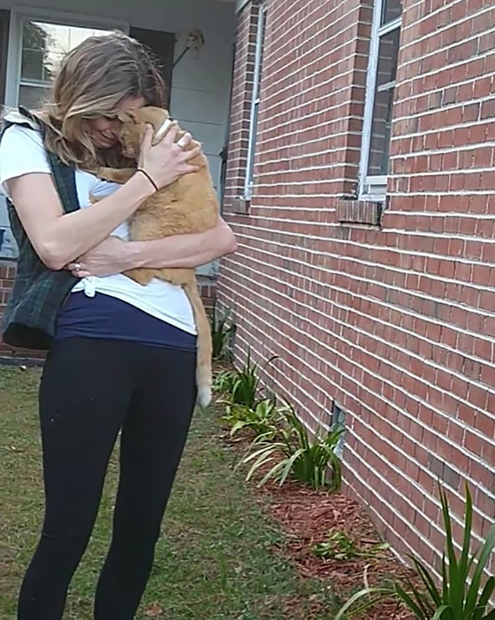 Cat Jumps Straight Into His Owner's Arms After Being Lost For 536 Days