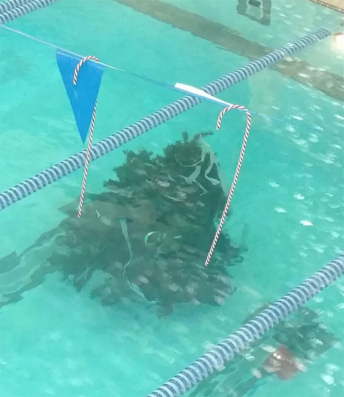 Our YMCA Decorated The Pool With An Underwater Christmas Tree