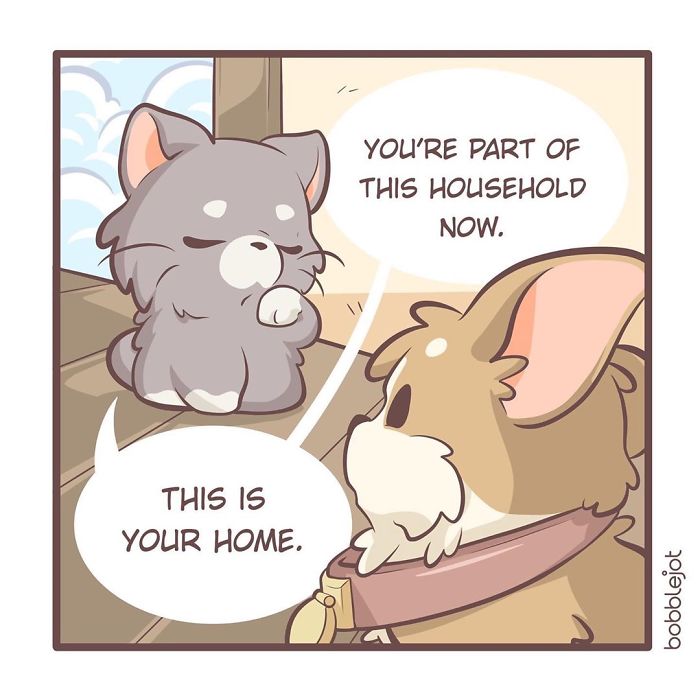 A Comic About An Unwanted Corgi And A Lonely Kitten Becoming Friends Is Warming People's Hearts