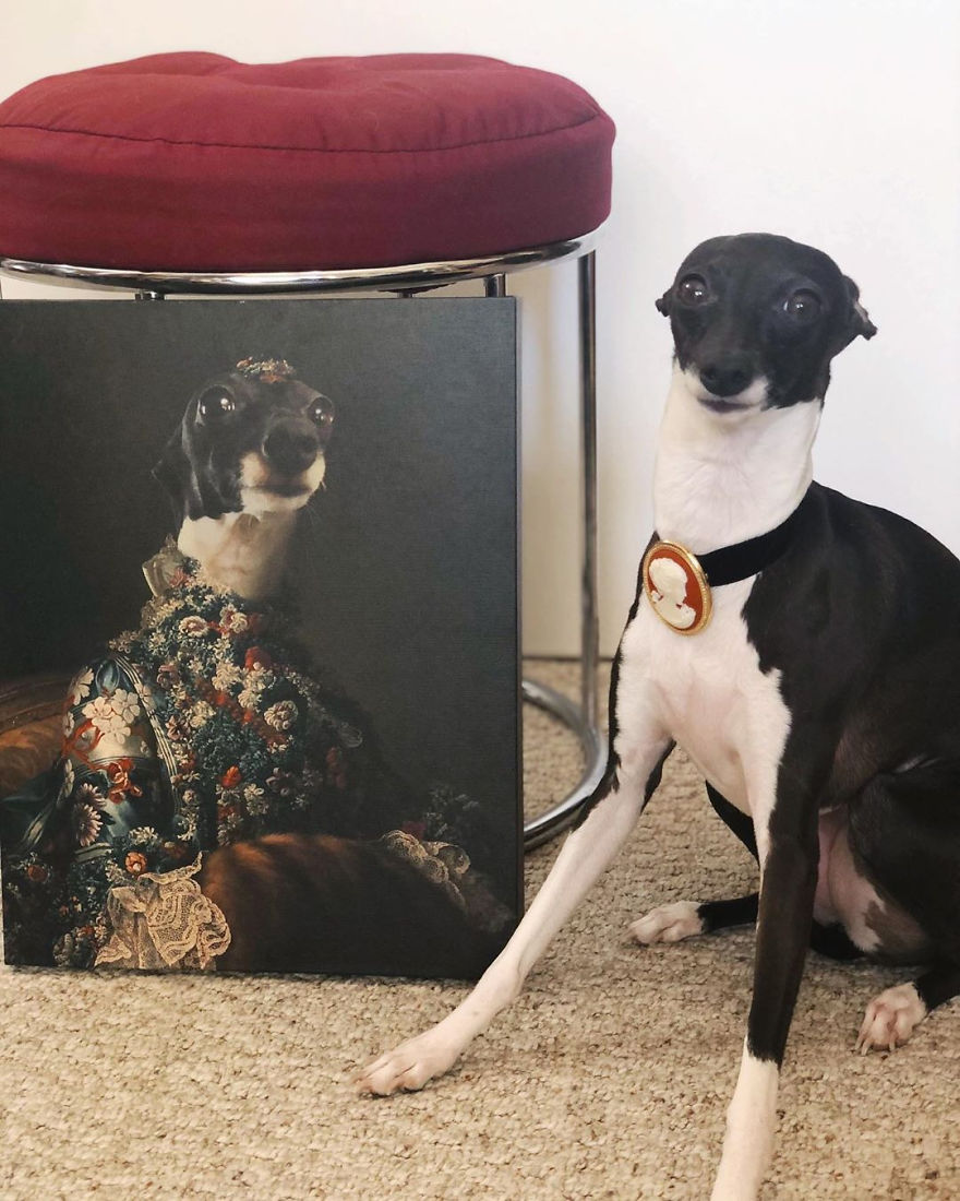 Everybody Is Getting Renaissance Portraits Of Their Pets