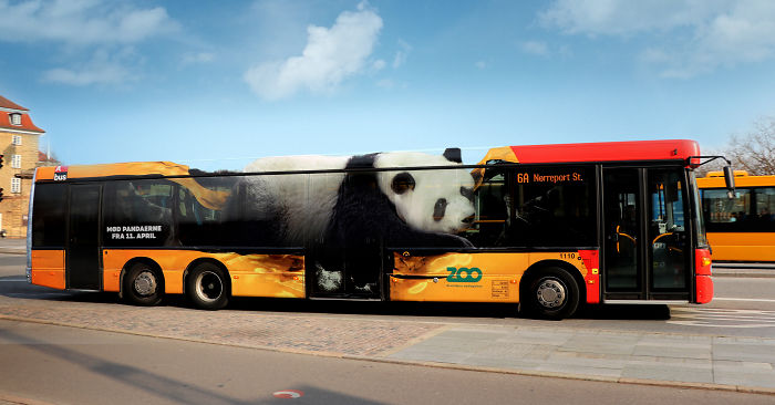 Copenhagen Zoo: The Giant Pandas Have Landed