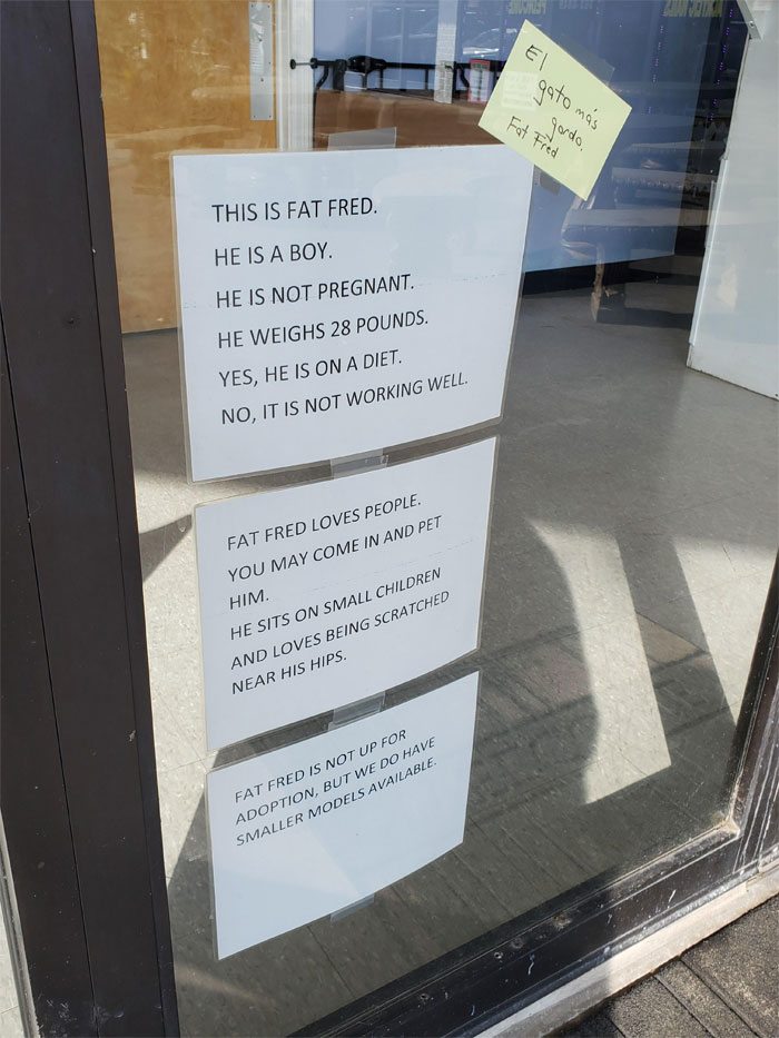 Meet Fat Fred, A Cat Who Is Going Viral After Someone Posted Photos Of A Vet Clinic’s Hilarious Sign