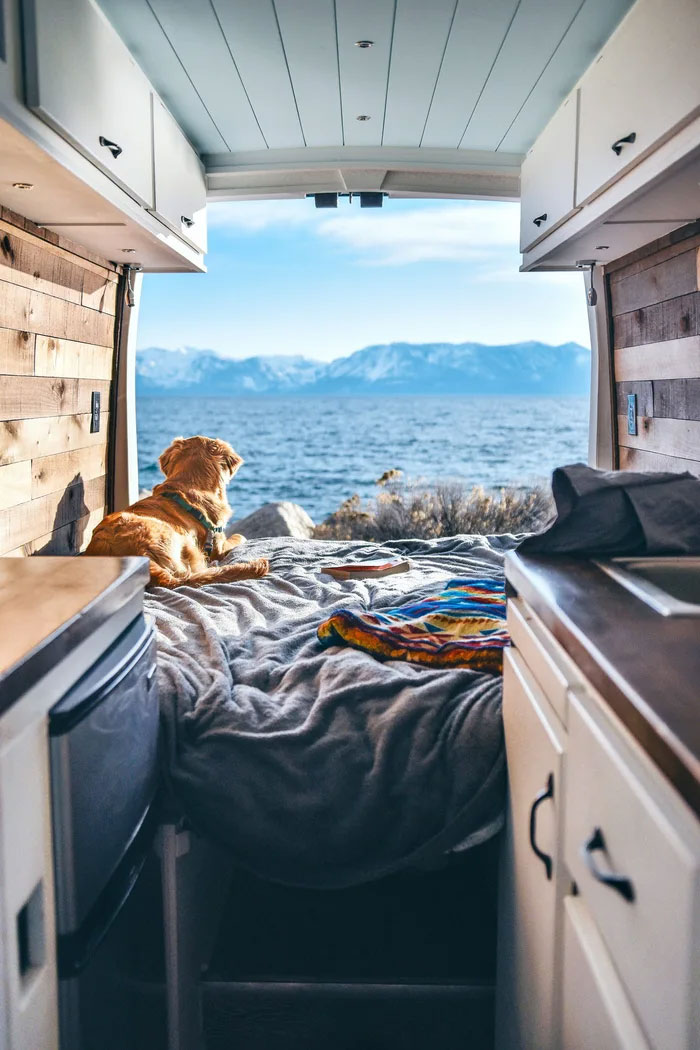24-Year-Old Dumps Her Boyfriend, Quits Her Job, And Now Is Living The Van Life With Her Dog