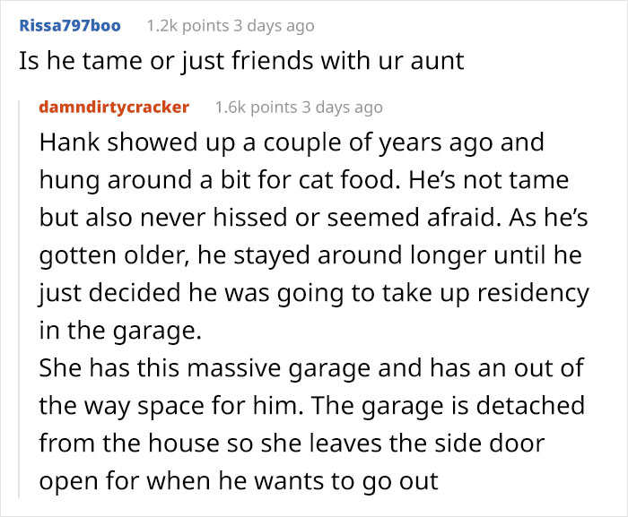 Woman Lets An Elderly Possum Stay In Her Garage, Her Nephew Posts Pic Online And It Goes Viral