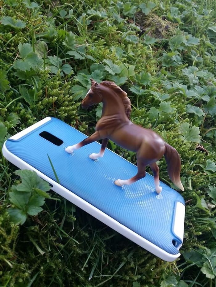 Girl Glues This Horse To Her Phone Case Expecting It To Be Easier To Grab, It Ends Up Photobombing Every Pic