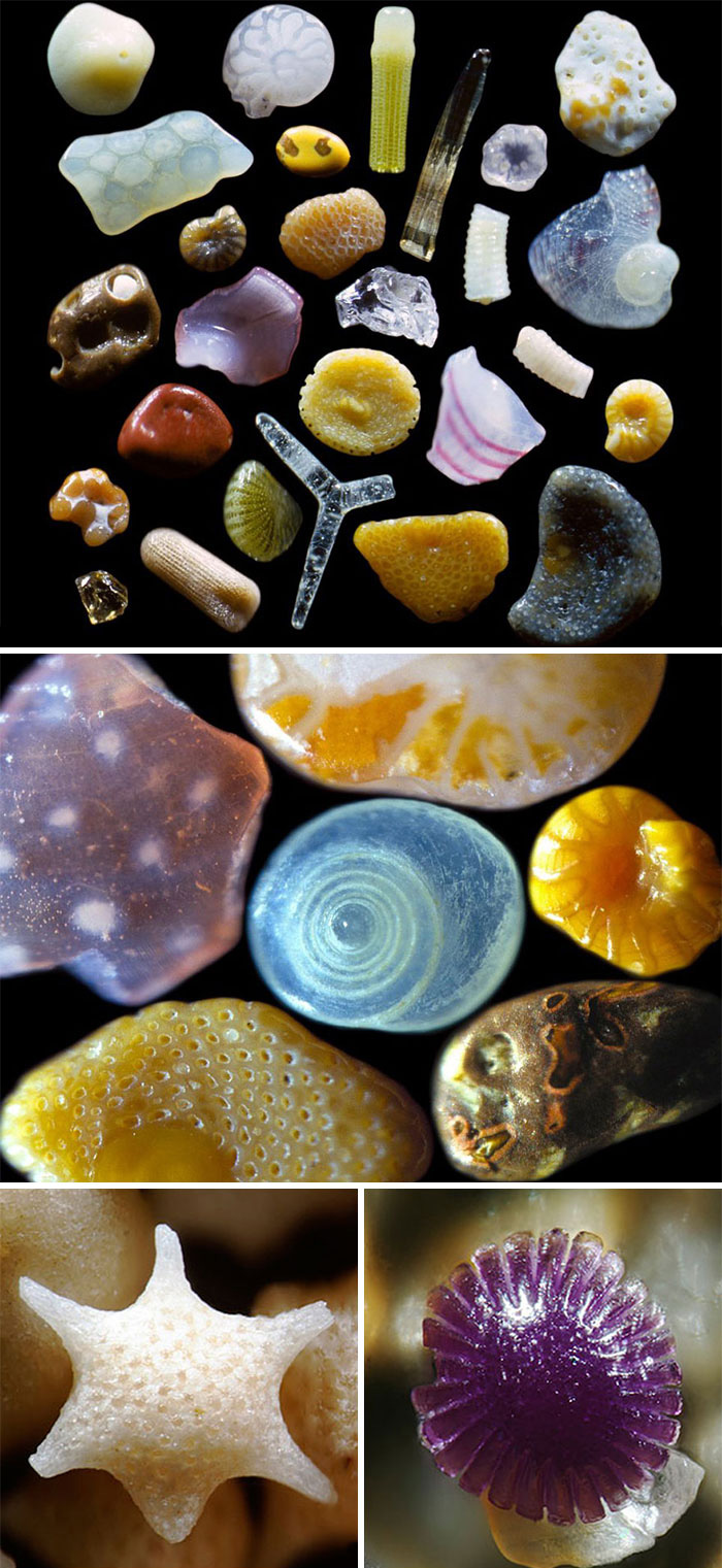 This Is What Some Grains Of Sand Look Like When Magnified 100 To 300 Times