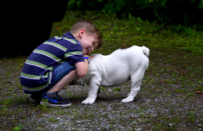 Dogs Love The High-Pitched "Baby Talk" Some People Do When Interacting With Them