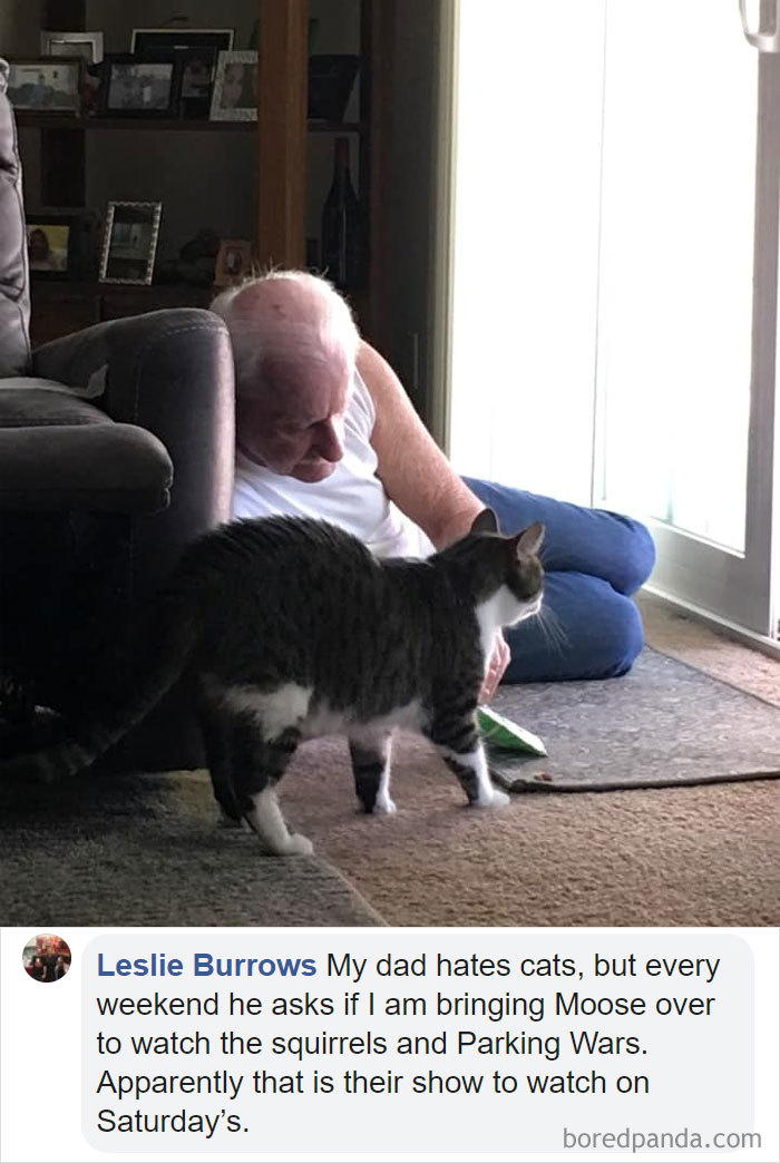 Parents-Didnt-Want-Cat-Now-Loves-Them