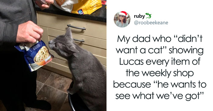 30 People Who Didn’t Want Pets But Changed Their Mind Real Fast