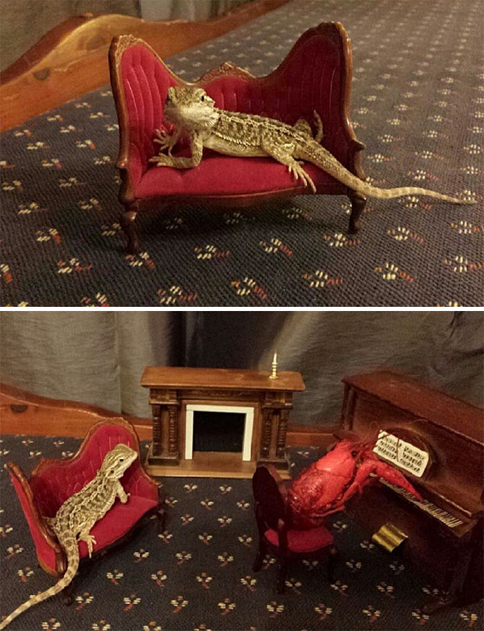 May I See Your Cat Chairs And Raise You A Lizard Lounge? 