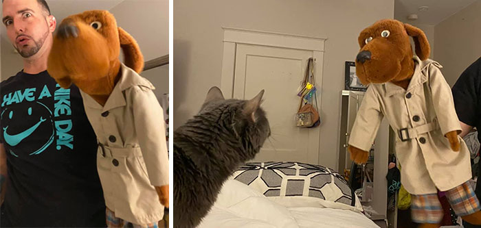 Neither My Husband Nor My Cat Appreciate The Mcgruff Puppet I Got At A Yard Sale For $1