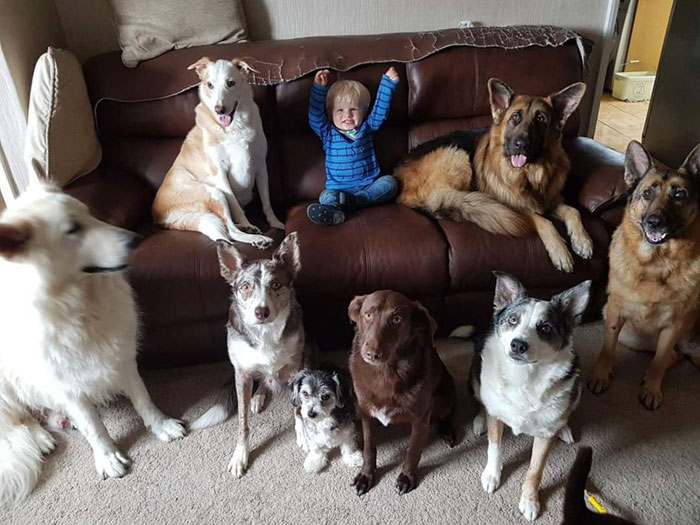 Esta mujer consiguió al fin que sus 17 mascotas posaran para una foto