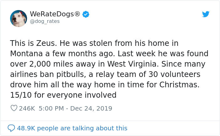 Stolen Pit Bull Found 2,000 Miles Away Returns Home For Christmas With The Help Of 15 Volunteers