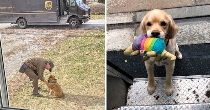 Turns Out, UPS Drivers Have A Facebook Group About Dogs They Meet On Their Routes, And It Will Make Your Day