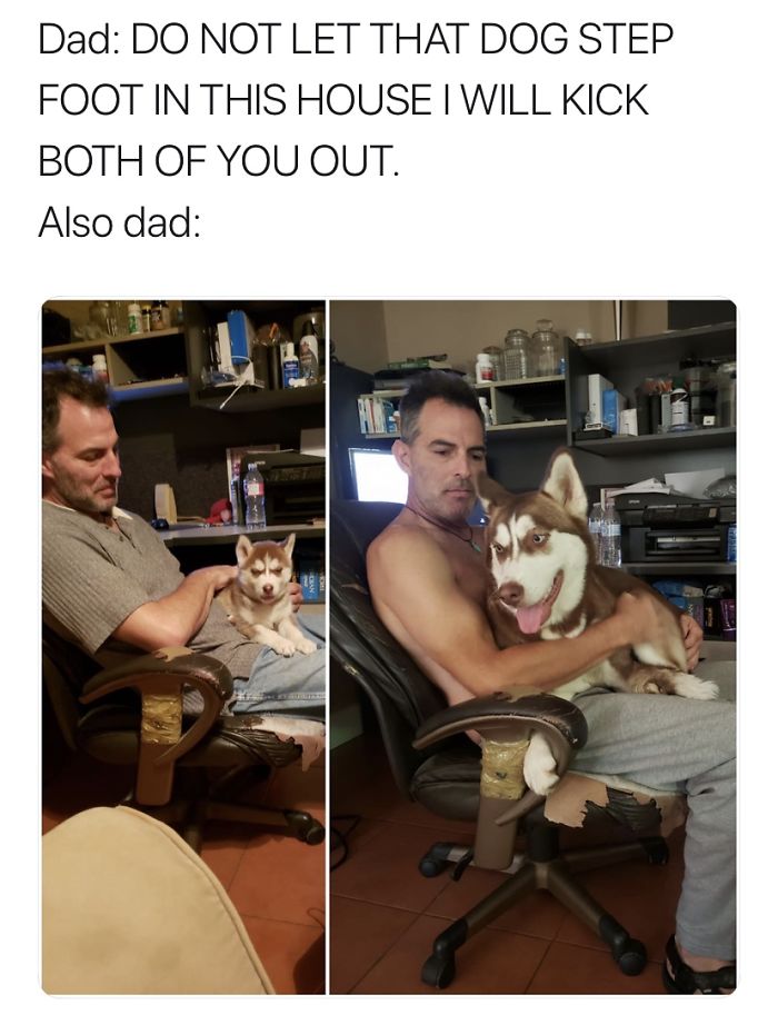Nothing Like The Love Of Dads For The Pets They Said They Didn't Want