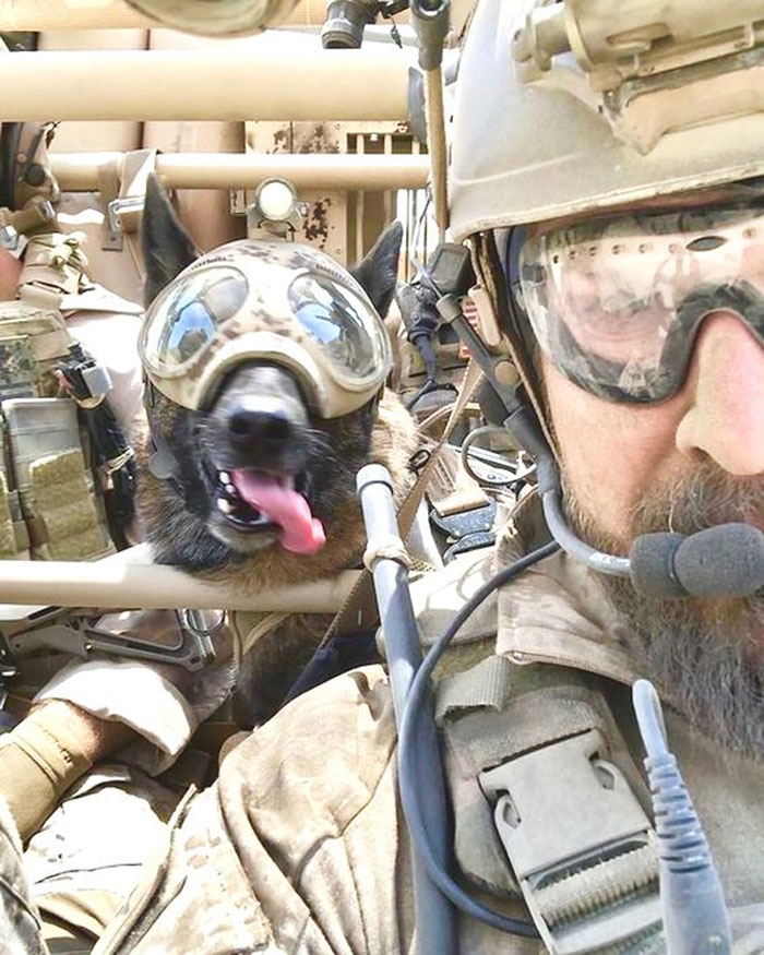 Special Operations Forces Together With The Team's Mpc (Multi-Purpose Canine)