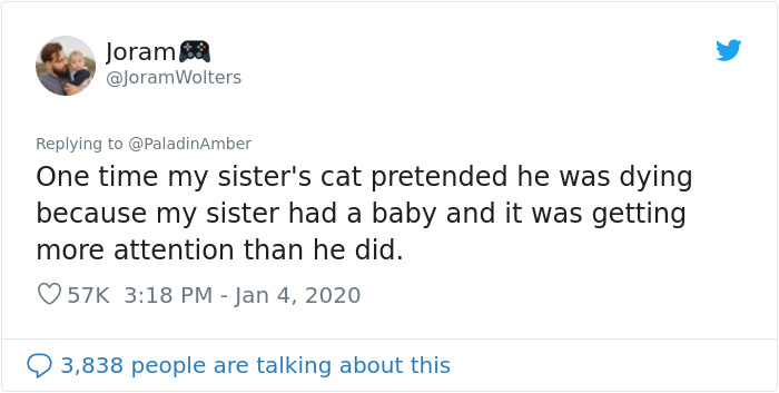 People Are Sharing Hilarious Stories About The Times They Thought Their Pets Were Dying