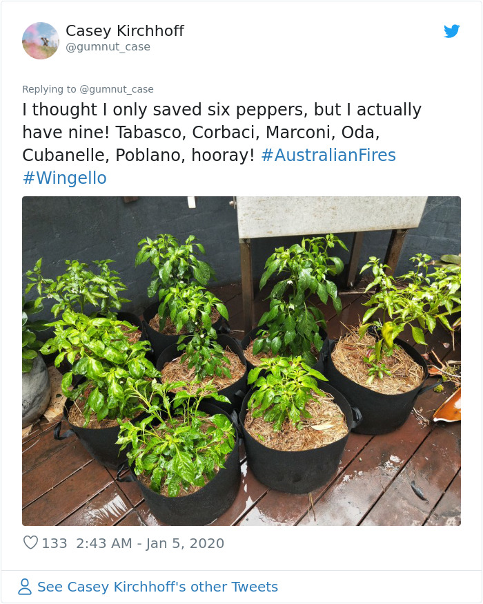 Australian Woman Shares Photos After Fires Destroyed Her House, But Left Her Garden Untouched