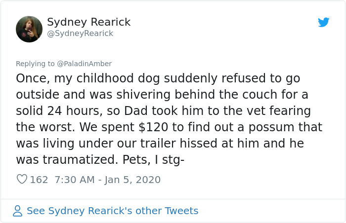People Are Sharing Hilarious Stories About The Times They Thought Their  Pets Were Dying | Bored Panda
