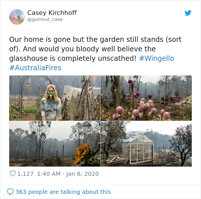 Australian Woman Shares Photos After Fires Destroyed Her House, But Left Her Garden Untouched