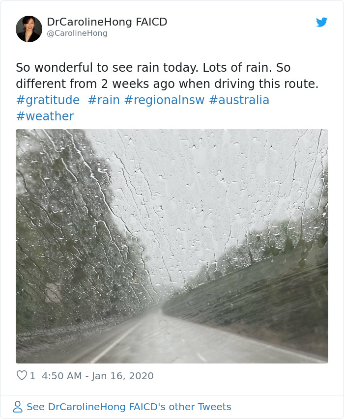 The Rain Finally Pours Down In Australia Putting Out Over 30 Deadly Bushfires