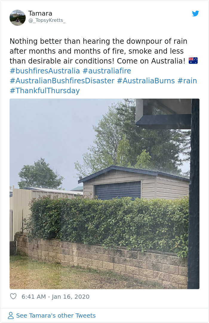 sensivel-mente.com - Finalmente chove forte na Austrália, apagando mais de 30 incêndios mortais