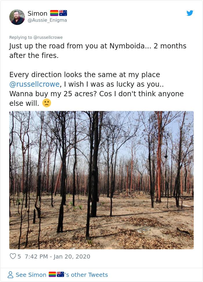 Russell Crowe Shares Before And After Pics Of His Fire Devastated Land After A Weekend Of Rain