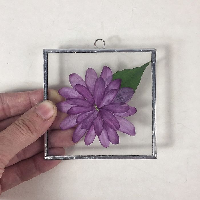 About Two Years Ago, I Picked Up A New Hobby Of Making Flower Herbariums And Here Are My Recent Works