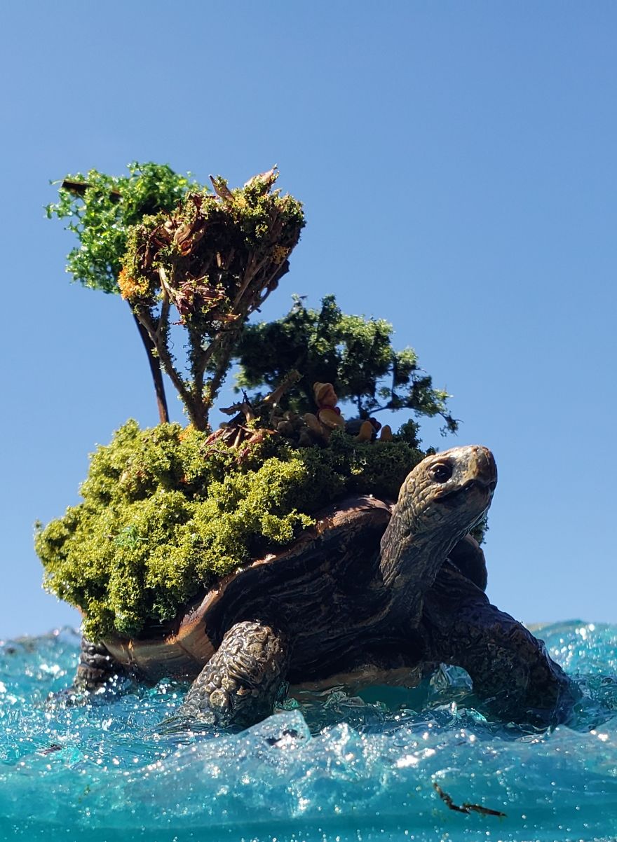 I Created This Turtle Island