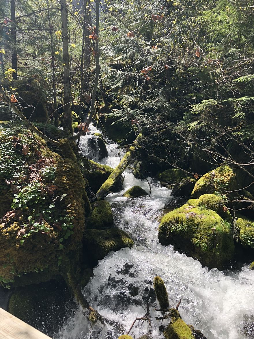 Glide, Oregon Waterfalls And Streams