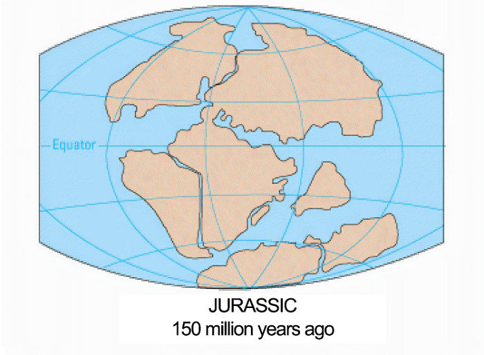 This Is What The World Looked Like 300 Million Years Ago