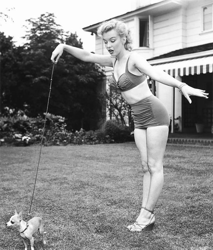Priceless Marilyn Monroe Pictures