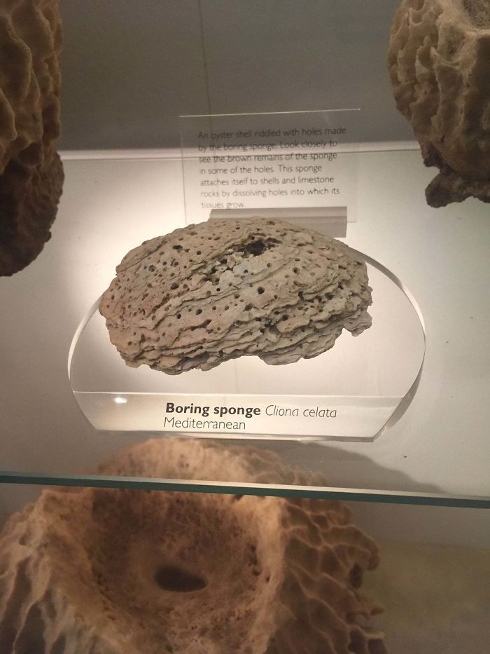 Found My Ex In The Natural History Museum