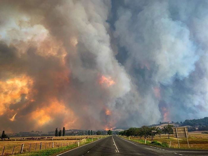 Nube pyrocumulus producida por el humo de los incendios. Crea sus propias tormentas eléctricas, tornados de fuego y vientos a 100 kms/h