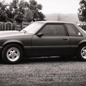 stroked408notch avatar