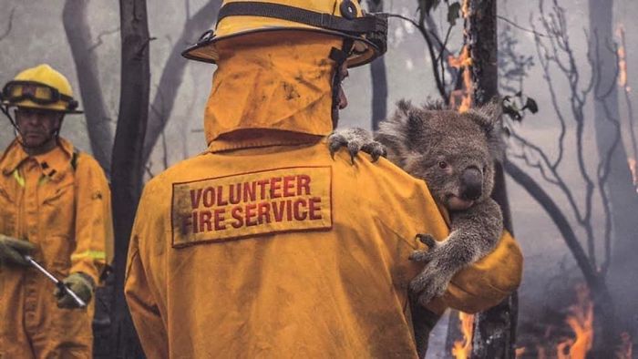 This Fire Fighter (And All Ff’s) Saving The People, Animals, And Homes In Australia