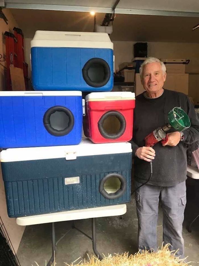 This Man Is Recycling Old Picnic Coolers Into Shelters For Stray Cats For Winter. How Cool Is This?
