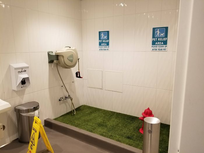 A Dog Bathroom In An Airport
