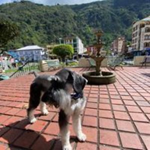 jacobandrewhause avatar