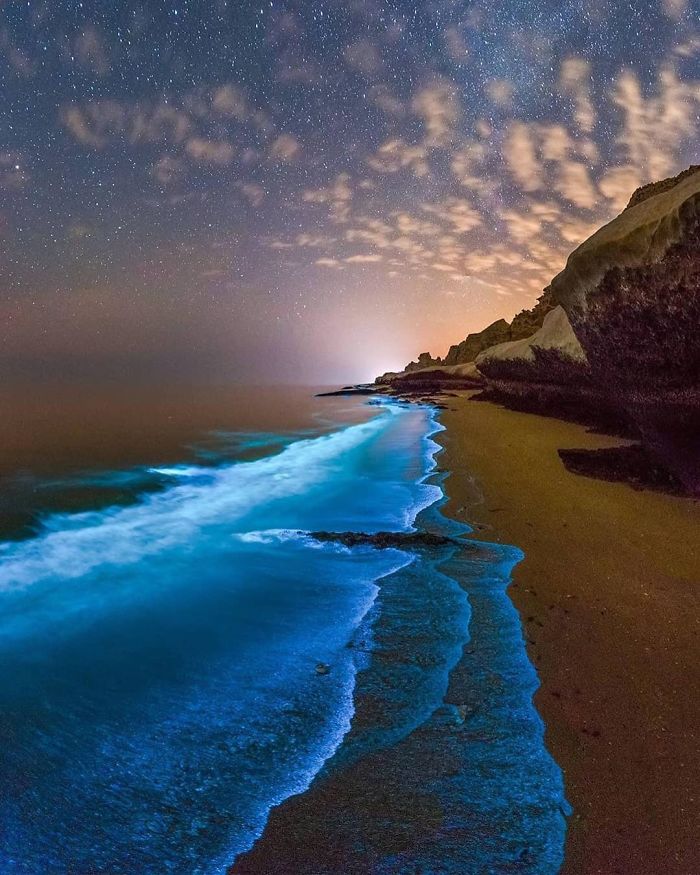 Fitoplancton bioluminiscente en el Golfo Pérsico
