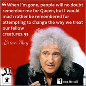 cathyqueengallagher avatar