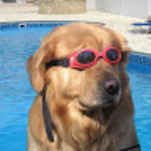 bahadrklalolu avatar