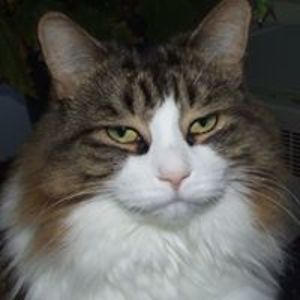 shelbycooper13 avatar