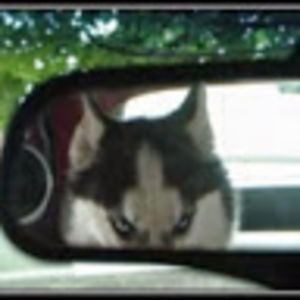 bonggukpangaribuan avatar