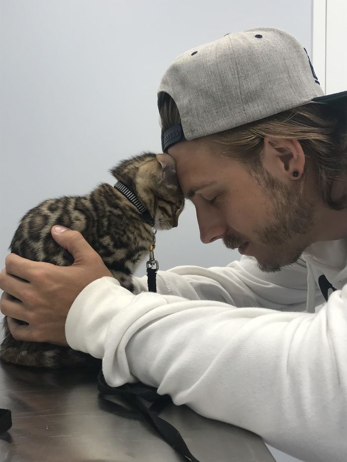 My Husband Comforting Our Kitten At The Vet