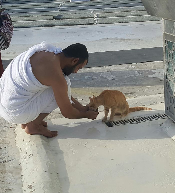 Saw This Man Yesterday When I Was In Mecca. Letting A Cat Drink From His Palms When He Couldn't Find A Cup