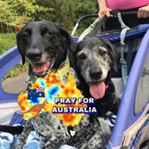 hannah_slayton avatar