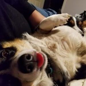 antigonereborn avatar