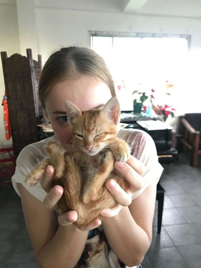 Meet Artemis. Rescued Street Cat